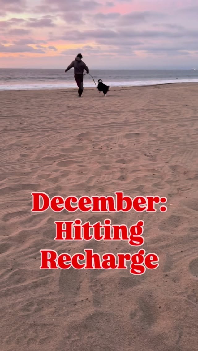 How do you all recharge in December ? Nothing beats a beach sunset walk with the dogs preferably! #puppytraining #dogbeachday #decembervibes