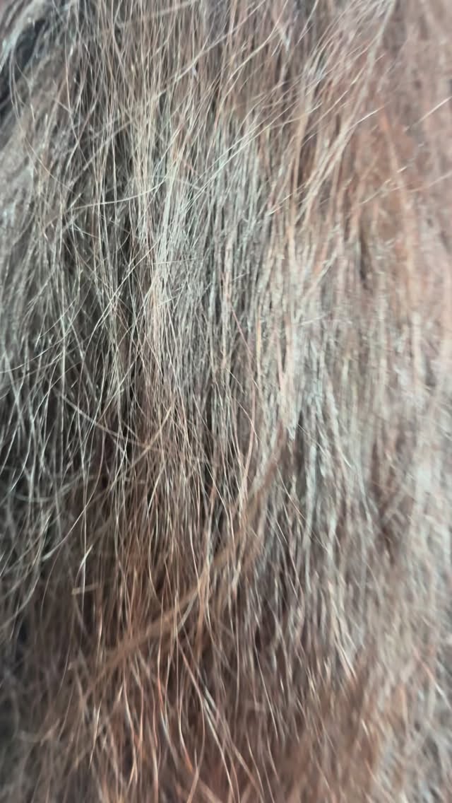 Escova progressiva em dia 💞
#progressiva #alisamento #letmebe