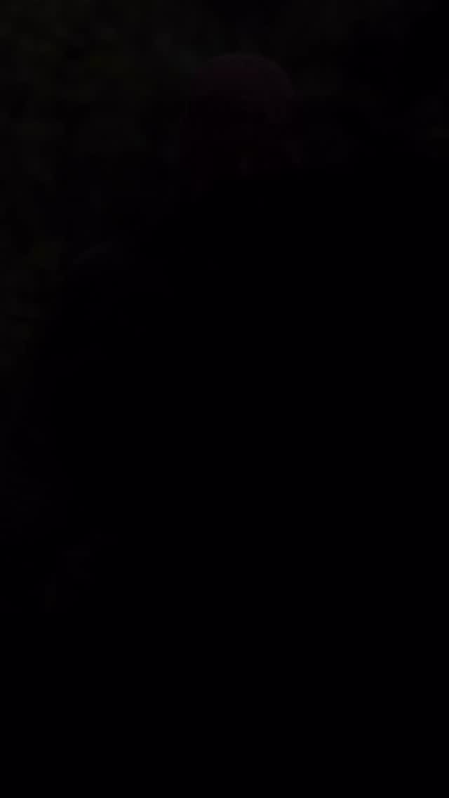 Wenn’s kälter wird, brauchst du eine Jacke, die mitmacht. Die Arbortec-Jacken geben dir Wärme, Schutz und Bewegungsfreiheit, wenn’s ruppig wird. Ideal für alle, die draussen arbeiten und nicht jammern, sondern anpacken. 💥❄️ Egal, wie frisch es wird: Hol dir dein Modell online oder direkt bei uns in Lenzburg.