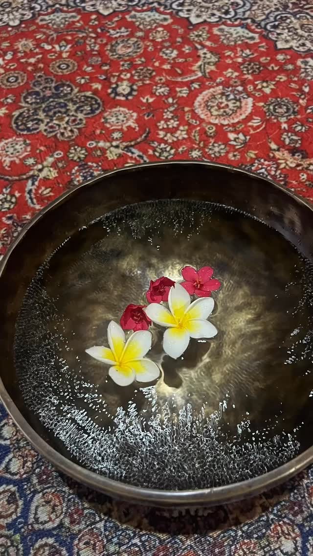 When the bowl stirs the water, the vibration becomes visible
tiny ripples echoing the same waves that move within us,
because our bodies are mostly water.
These gentle pulses soften the muscles,
release the emotions we hold quietly inside,
and open the energy around the heart.
A simple movement on the surface…
a deep shift through your body,
your emotions,
your inner space.
Feel how sound reshapes your energy from within.
Soft, subtle, and profoundly calming.
Tibetan Sound Healing in Ubud
Private sessions now open, DM to reserve your healing time.
#ubudsaoundhealing
#ubud
#soundhealing #soundhealingmeditation #tibetansoundbowls #selfcare #backtohome #bali #tibetansoundhealing #nadaismedicine #soundismedicine