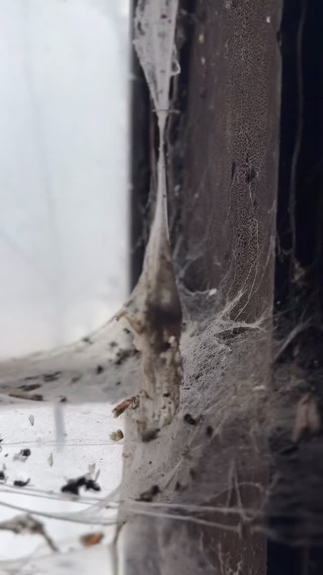 🖤 BLACKWEEK beim Schmied 🔨🔥
Staub. Spinnweben. Altes Eisen.
Und heuer: Funken für dein Jahr – und zum Verschenken.
15 % ab 45 € → Rabattcode:
BLACKWEEK
25 % ab 75 € → Rabattcode:
BLACKWEEKPREMIUM
🎰 Jede 10. Bestellung wird verdoppelt.
🎁 Jede Bestellung mit kleiner Überraschung.
Perfekt als Geschenk – oder für dich selbst.
Schwarz is Grundfarbe – aber diese Woche lodert’s extra. Smiley = )
#BucketlistSchmied #Blackweek #Funkenflug #Feuerkraft #Geschenkideen #VomErlebnisZumErgebnis #EntfacheDasFeuer #BucketlistKartenspiel #Entwicklungsroman #Buch #Weihnachtsgeschenke #Mühlviertel #Blackweek2025