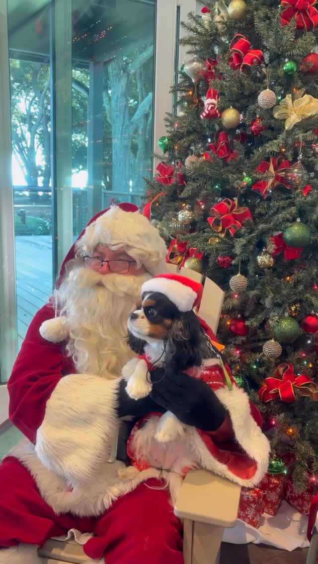 At Trident Rentals, we know pets aren’t just along for the trip - they’re part of the family. From sandy paws to tail-wagging beach walks, we believe that vacations are better when everyone is welcome. That’s why we proudly offer pet-friendly villas with no pet fees - so you can focus on what matters most: time together 🤍🐶🌴 #petfriendlytravel #dogfriendlyvacation #hiltonheadisland #lowcountryliving #coastalgetaway #bringyourdog