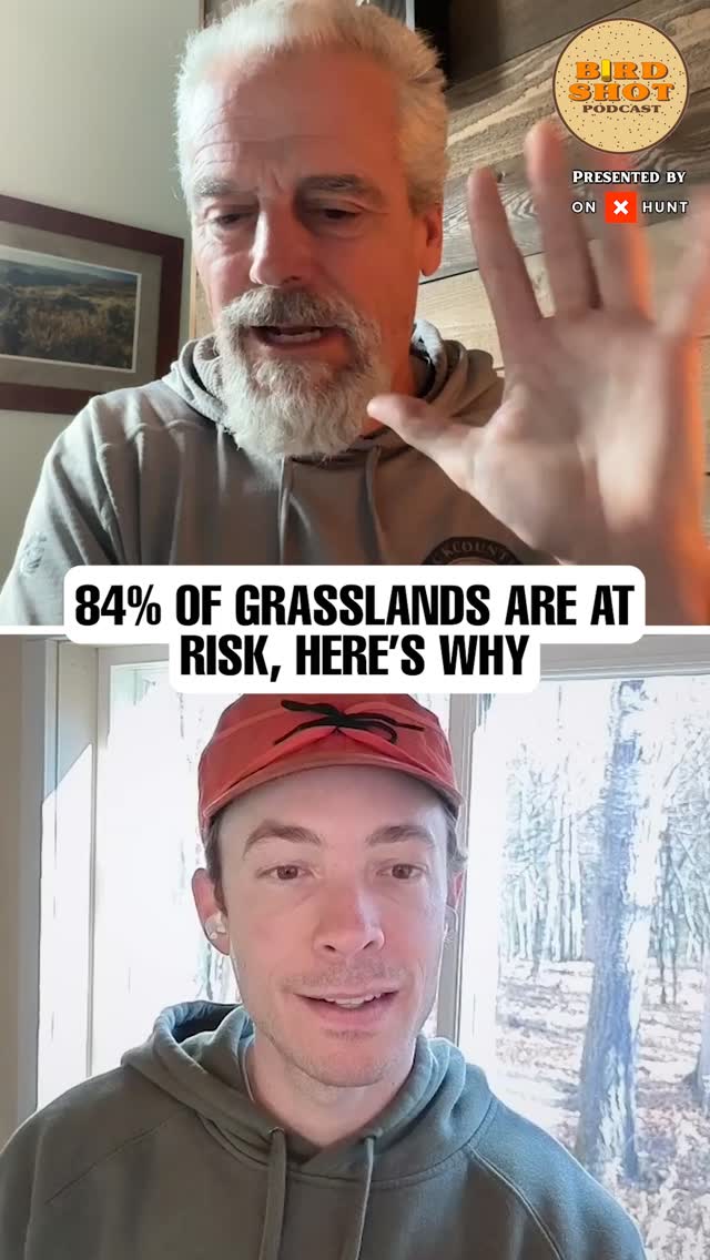 Grasslands are disappearing and the reason is simple: money.
In this episode of Birdshot Podcast, host @nilarson13 speaks with Ted Koch about the harsh economic reality threatening North America’s most endangered ecosystem.
🎧 Listen to the full episode, link in bio
#GrasslandCrisis #HabitatLoss #ConservationEconomics #BirdshotPodcast #LandUsePolicy #WildlifeDecline #PrivateLand #RangelandConservation #PublicLands #EcologicalCollapse