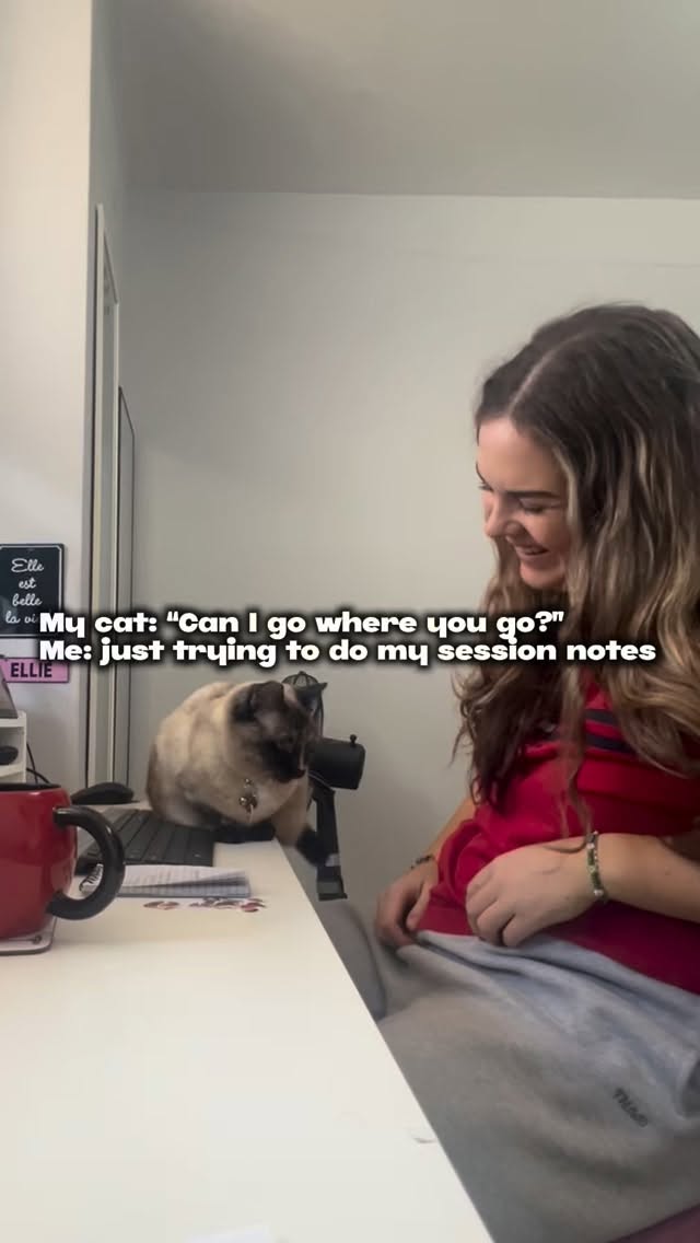 How can I be expected to finish my notes when my emotional support supervisor demands attention 🐾📝.
#counsellorlife #mentalhealthsupport #onlinecounselling #virtualcounselling #mentalhealth #workfromhome #catcoworker #catsofinstagram