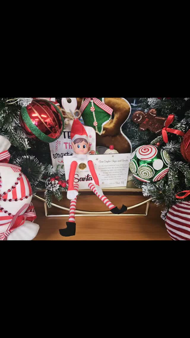 A Special Delivery from the North Pole 🎅