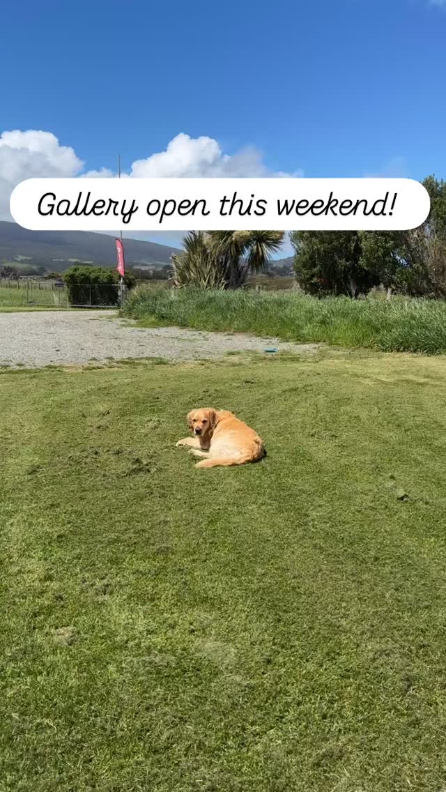 Perfect day for a drive and gallery visit! And booking into a workshop in the most beautiful destination, although possibly biased!
https://www.andreasextonartist.com/events-workshops
#littleredcabooseartgallery #orepuki #mixedmedia #littlegallery #artlife #mixedmediaart #gemstonebeach #artworkshop #westernsouthland #artist