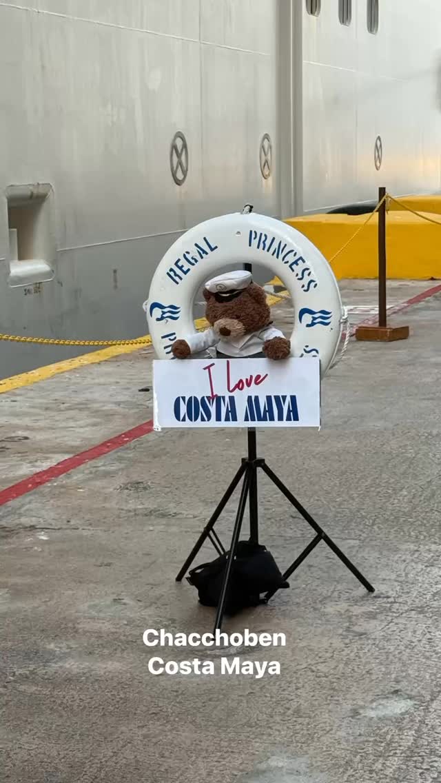 Port Day 2: Costa Maya did not disappoint! 🌿🔥
Today’s adventure took us deeper into the jungle, where the Mayan temples of Chacchoben rise higher, the air grows thicker… and the plant life gets even better.
I climbed the ancient steps, wandered (okay… strayed a bit) down a jungle path before our guide reeled me back in 😅 — but can you blame me?!
Because the highlight of my entire plant-fanatic, begonia-addicted soul was this:
👉 I found ACTUAL begonias growing on the ruins.
Like… on the stones. In the wild. In their element.
Consider my mind blown and my heart full.
After the ruins, we wrapped the day at a beach resort where the drinks flowed, the sun was glorious, the ocean refreshing, and all four of us felt like absolute vacation royalty. Then a little shopping, flamingos, the walk back to the ship, and finally a sunset that wrapped the whole day like a bow.
🌴 2 stops down, 2 to go… Belize tomorrow!
Even more jungle, even more history, and hopefully even more horticulture.
✨ Plant friends — can you ID the begonia in the reel? I have my guesses… let’s hear yours!
#CostaMaya #Chacchoben #MayanRuins #JungleVibes #PlantFanatic #BegoniaAddict #WildBegonias #TheAngryGardener #CruiseLife #VacationMode #TropicalPlants #HistoryNerd #GardenersOnTour #PlantPeopleUnite #AdventureAwaits #BelizeNext #FourStopsFourStories