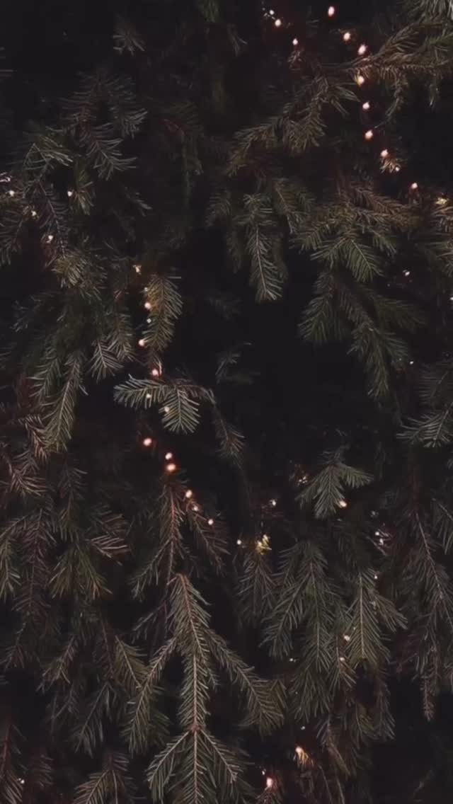 ✨ Why You Need to Double Shampoo ✨
Your hair deserves a clean slate! The first shampoo breaks down product buildup, oil, and impurities. The second shampoo actually cleanses your scalp and lets your shampoo do what it’s meant to do — nourish, refresh, and reset your hair.
Think of it like removing your makeup before washing your face… the extra step makes all the difference. 💆♀️💦
Consistent double cleansing = cleaner scalp, longer-lasting color, and softer, lighter hair.
Healthy hair starts in the shower. ✨
#HairCareTips #HealthyHairJourney #SalonQualityHair #MinneapolisHair #MapleGroveSalon #HairEducation #DoubleShampooing