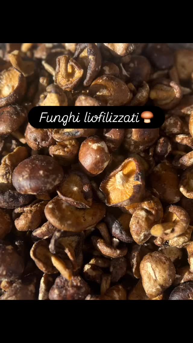 I funghi liofilizzati, croccanti e leggeri, sono essenziali per un aperitivo perfetto tra amici: irresistibili da sgranocchiare e ideali da abbinare a creme, formaggi e un buon calice di vino. #melaenocciola #muso #marsiglia #fungi #aperitivosano #snacksano