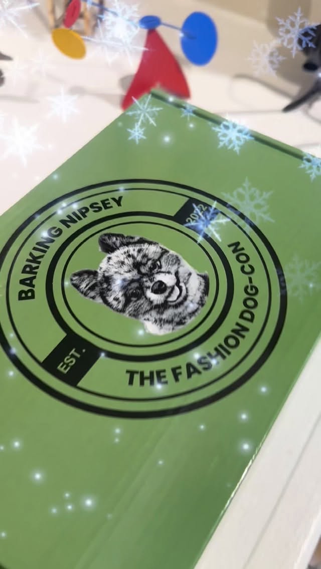 Unwrapping holiday cheer with the most fashionable pup in town. Celebrating in style this Christmas.
#dogfashion #holidayspirit #christmaspup #stylishdogs #festivewear❤️ @barkingnipsey