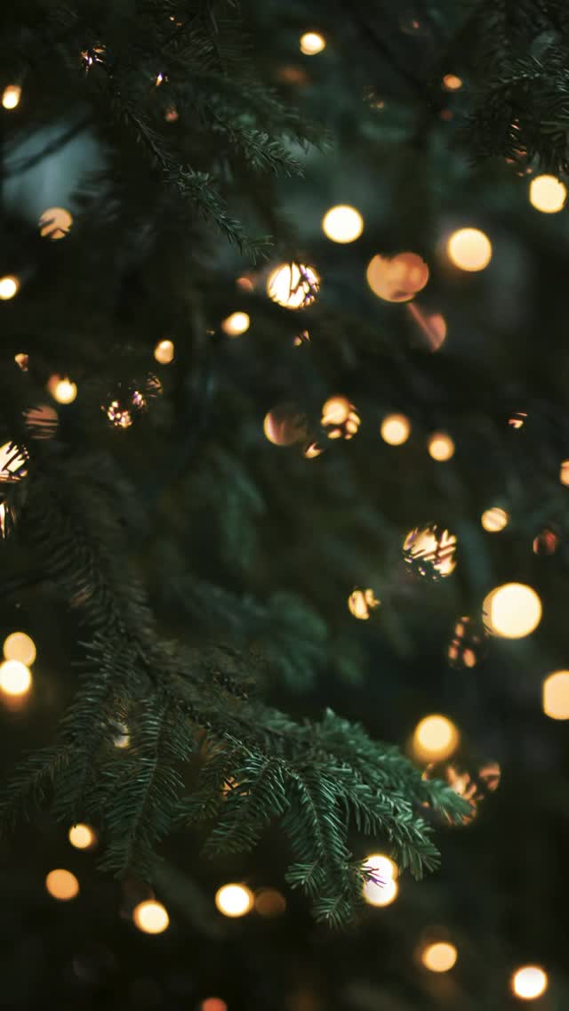 It’s time for the GERMINATED SEED GIVEAWAY! 🎉🎉
The official count was 175, and while no one guessed the exact number - there were two close winners!
Congratulations to @koalasplants and @vergmjr !! You will both be receiving two germinated seeds each. 🎉
To redeem, send me a dm with your shipping information.
Special shoutout to @myanthuriumdiaries for putting this reel together! 🙌🏽🫶🏽
Hybrid:
🌸 Scott’s Bess aff x Pap A+
🌀AOS f2 x RLFS
#holidaygiveaway #aroidsociety #tropicalplants #anthuriumhybrid #anthuriumcollector