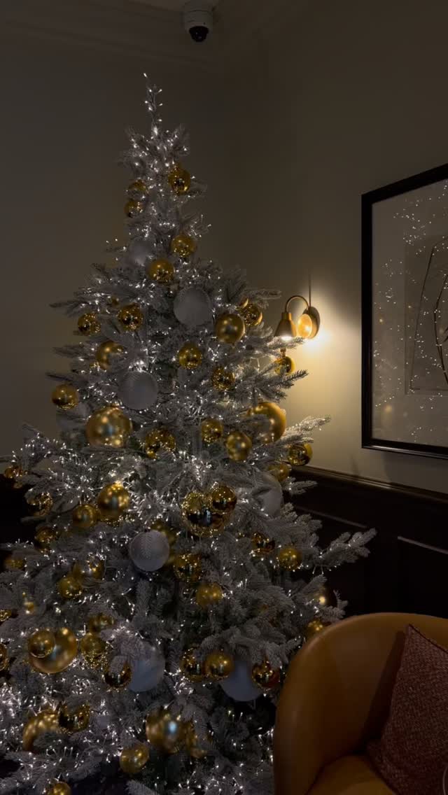 Today, our team delivered the magic of Christmas
to our valued partners @palaisrudolf 🎄