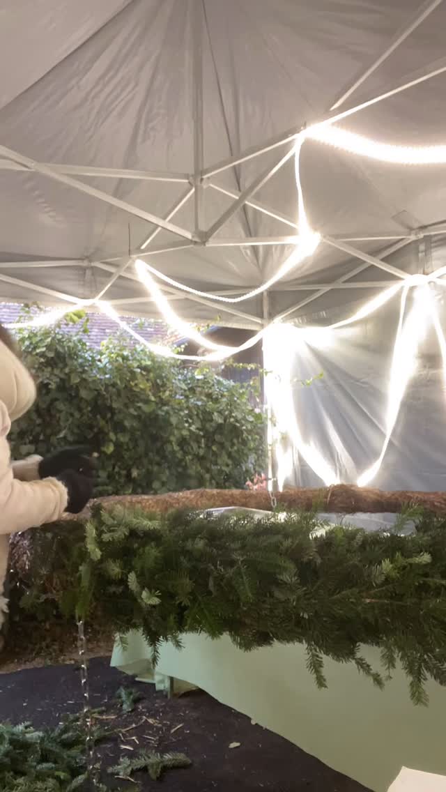 ✨ La magie de l’Avent s’invite sur la place de la Saline ! ✨
Cette année, au cœur du marché de Noël de @soultzsousforetshohwiller67 , venez découvrir la grande couronne de l’Avent réalisée par mes soin @aloderose :
une création unique de 2 mètres de diamètre, entièrement nouée et décorée à la main dans l’esprit du calendrier de l’Avent, en harmonie avec le thème officiel de la ville pour cette édition 2025 ✨
Des heures de travail, beaucoup de passion, une bonne dose de féerie… Chaque étoile, chaque nœud et chaque boule a été posé avec patience… et beaucoup d’amour !
Quelques heures de travail passionné pour donner vie à cette décoration qui accompagne l’attente de Noël jour après jour 🎄
Passez la voir au marché de Noël, laissez-vous porter par la féerie… et n’hésitez pas à partager vos photos & pensez à me mentionner sur vos photos pour que je puisse repartager vos clichés ! 🤩
Merci de faire rayonner un peu plus l’esprit de Noël avec moi ! ✨🎅🎄
#couronne #couronnedelavent #noel #christmas #calendrierdelavent