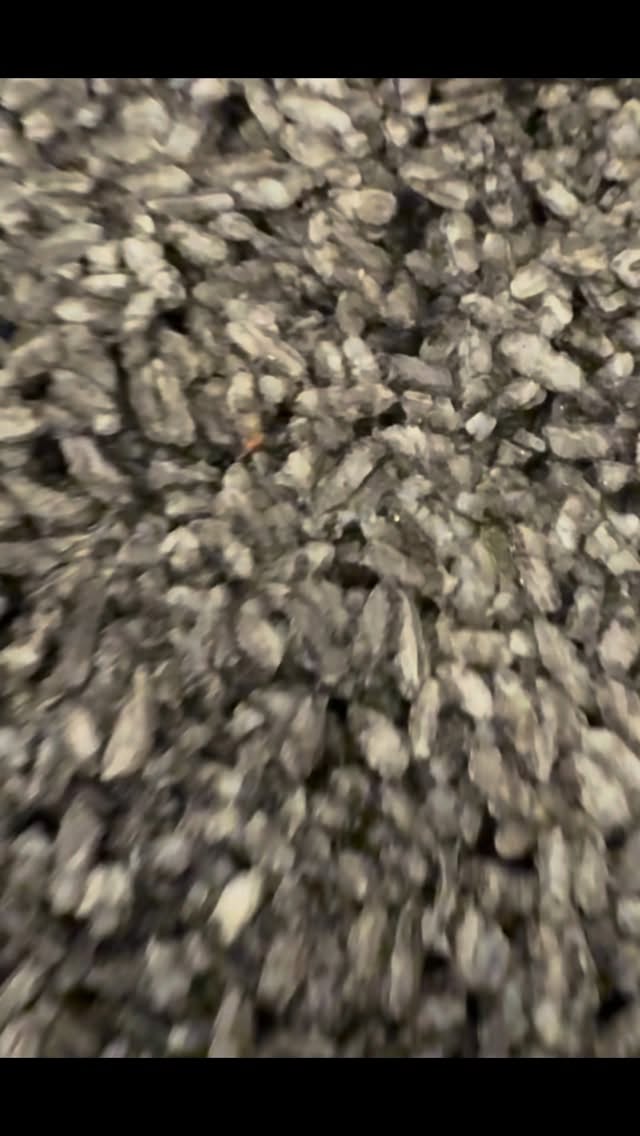 Fuori fa crunch, dentro fa innamorare. Una bomba da strada: spacca, domina e non lascia scampo. 💥
Vi aspettiamo a provarla! 😋
#ilmaresifastrada #verona #lamicomio #glutenfree