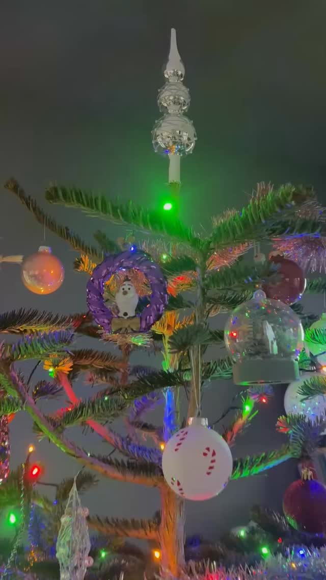 🎄 De feestdagen hoeven je energie niet te slopen.
Toch voel ik me tijdens deze dagen vaak wel wat anders als ik niet wat kleine aanpassingen doe:
meer cravings,
middagdipjes,
een vol hoofd
en aan het eind van de dag… meer moe.
Niet omdat je “het niet goed doet”.
Maar omdat kerst nét wat meer vraagt van je bloedsuiker, stresssysteem en hormonen.
Het goede nieuws?
Je hoeft niets te laten. Alleen wat slimme
keuzes die je lichaam ondersteunen, juist tijdens de feestdagen ✨ 💚 ik hoop dat je er wat aan hebt! Wil je meer verdieping. @renskebisschop.nl en ik heb hebben een leuke podcast opgenomen hoe wij onze feestdagen beleven. Via onze orthomolecuwatte de podcast kun je de podcast luisteren. Veel luisterplezier! #femmehormoonspecialist #gezondheid #hormonen #hormoonbalans #gezondeleefstijltips