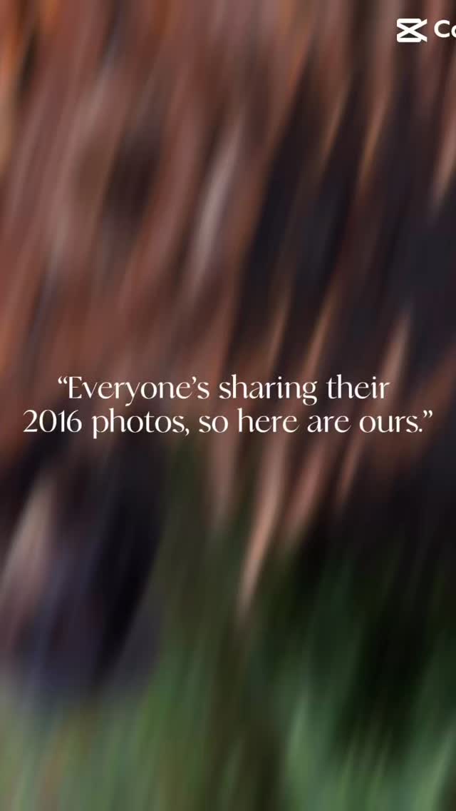 I think we win this trend 🥹🥲 so lovely to look back on memories like these and remember how far we have come and how we started our family business🥰 we are so lucky and grateful to be able to take care of all these pups, each one of them feels like they’re family 🐶🤎 #doggydaycare #doglovers #family #2016 #ddc