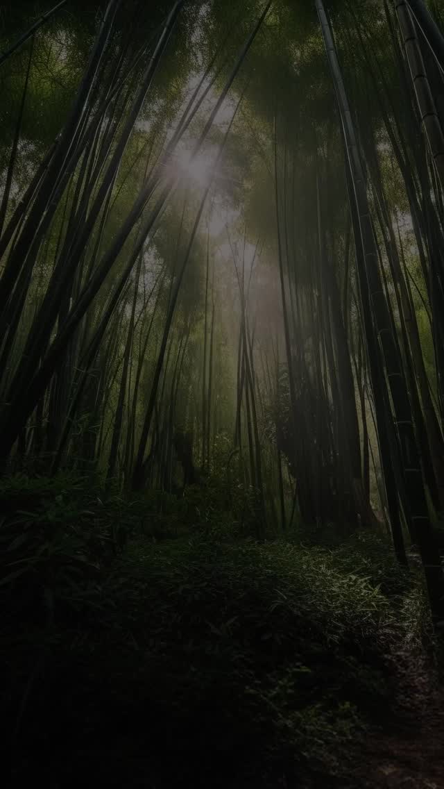 綠色系列,不能不用竹做背景。
用2分鐘靜落嚟,暫時唔好睇新聞,唔代表你漠不關心。
Music by Aruna Serena