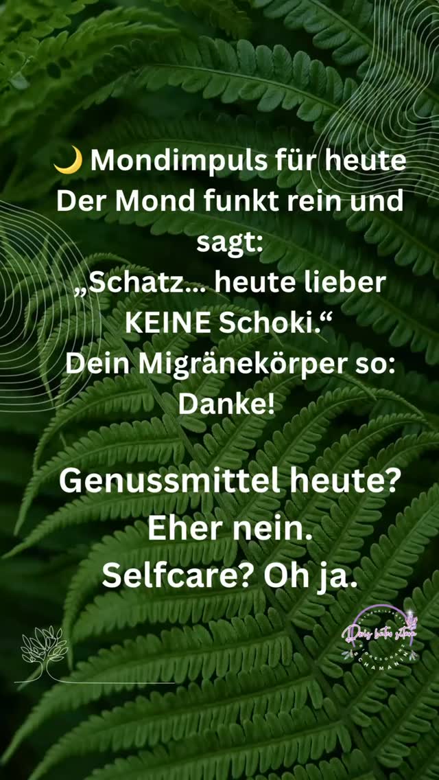 🌚🌝🌙🌓🌕🌜🌖