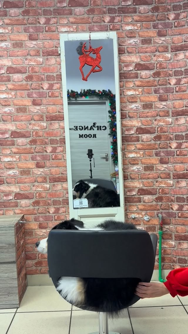 The Ch3ange team in Milan:
Freddie🐶 Sarah 🇳🇿 Giovanni 🇮🇹 Roseanna 🇺🇸
An international hair salon in the heart of Milan
📍Via Bullona 1, Milano
#parrucchierimilano #milano #milanhair #hairsalon #parrucchieri #citylifemilano #arcodellapacemilano #tagliocapelli #colorecapelli #mfw