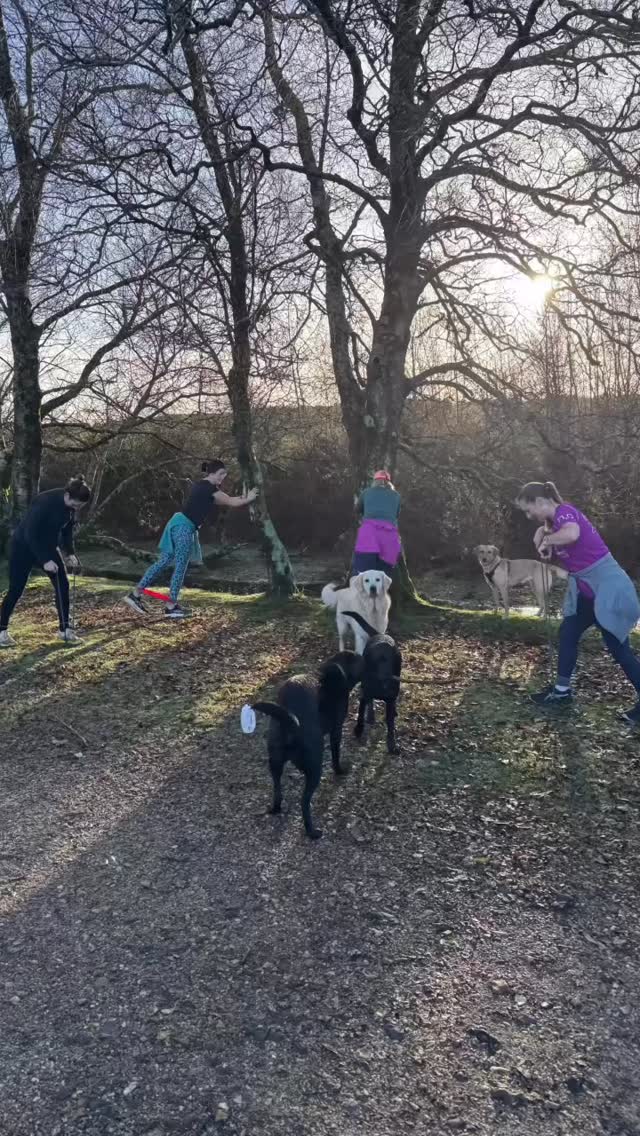 HAPPY NEW YEAR! 🥳 see you in 2026💪🏻 training to be a stronger, better version of yourself 🤗
#outdoortraining #newforestnationalpark #womensfitness #womensfitnesscoach #outdoorfitness