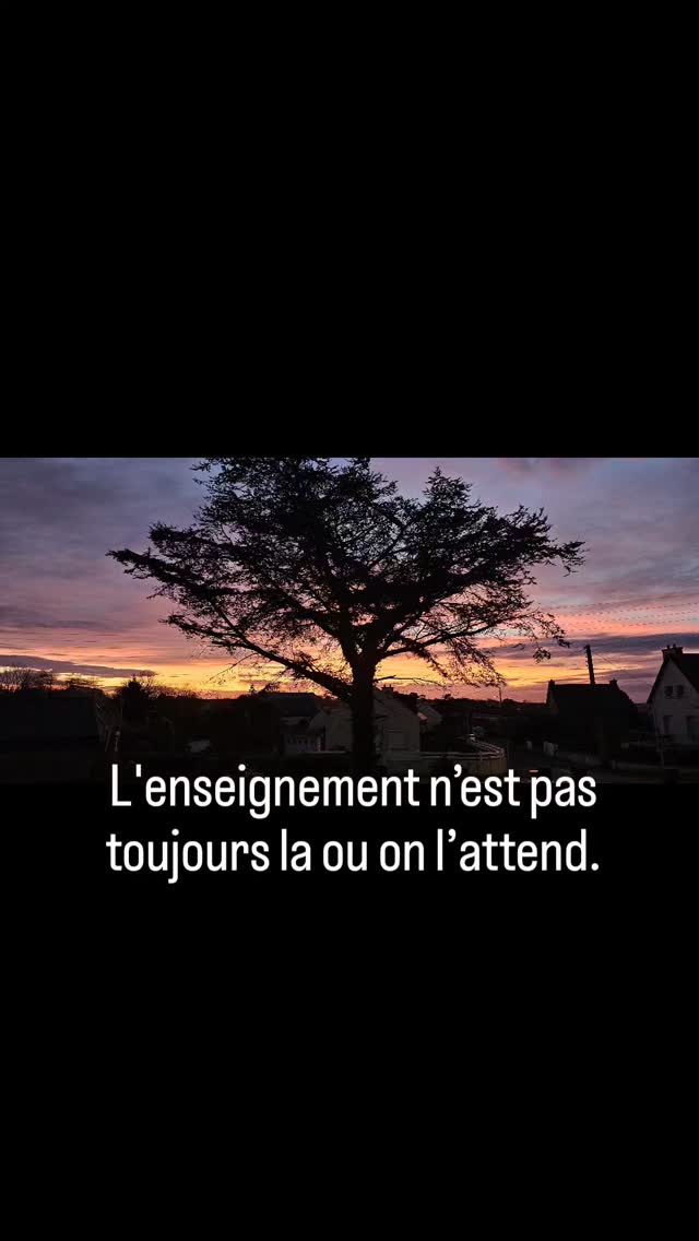 Au detour d’une conversation, d’une promenade, d’une lecture, nous pouvons etre abreuvés de sagesse, d’amour et d’apprentissage. Il suffit juste de s’ouvrir à ce qui est la pour nous. #coaching #transformation #changer #liberté #developementpersonnel