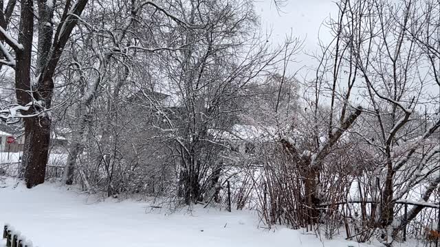 ❄️Slow down & take it easy today ❄️