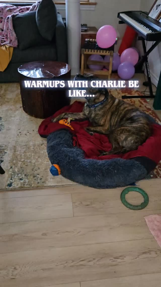 Warming up the vox with my new buddy Charlie. He's got wicked lung capacity... A good training partner! Next step, fry.
#charliedog #metal #vocalwarmup #vocalist