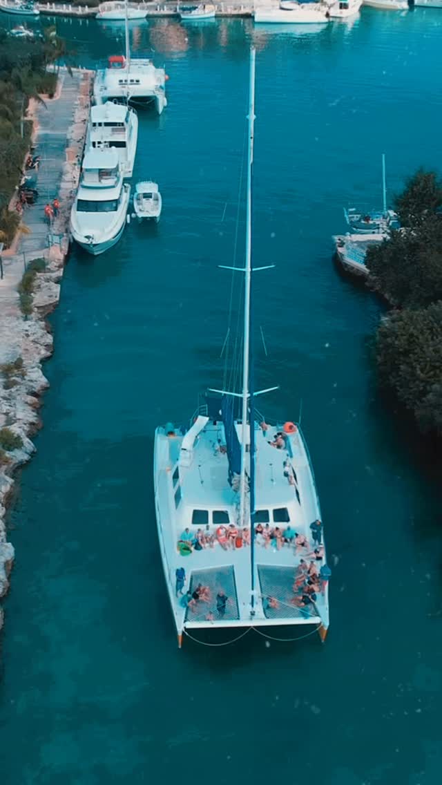 Have you submitted your project yet?
¿Ya has entregado tu proyecto?
#PAIFF #pafilmfestival #filmfestival #tulum #cancun #rivieramaya #playadelcarmen #cozumel #puertoaventuras #akumal #callforentries #filmfest #filmmakers