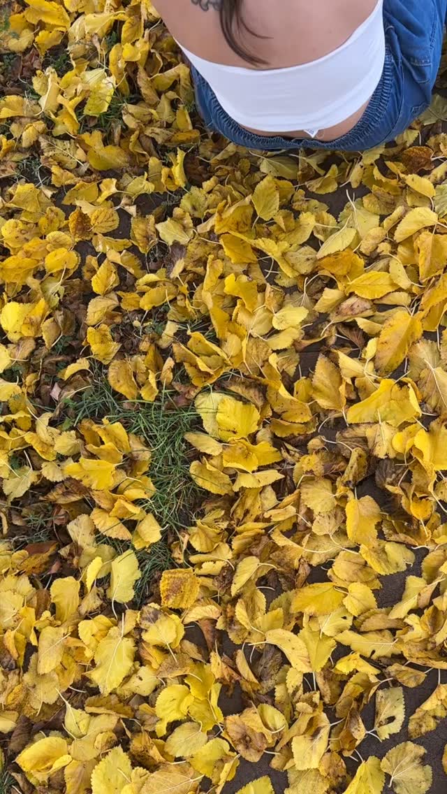 first look at a makeup i did for my third visit to petrified forest
i couldn’t pass up an opportunity to capture this makeup with the vibrant yellow leaves!!
so worth laying on the wet ground 😂
bringing makeup and body painting art to into nature is something i am very interested in expanding upon
this makeup was just over an hour, so it isn’t anything crazy! what was most important to me was pulling from colors that come from the petrified wood that you’ll see in photos to come