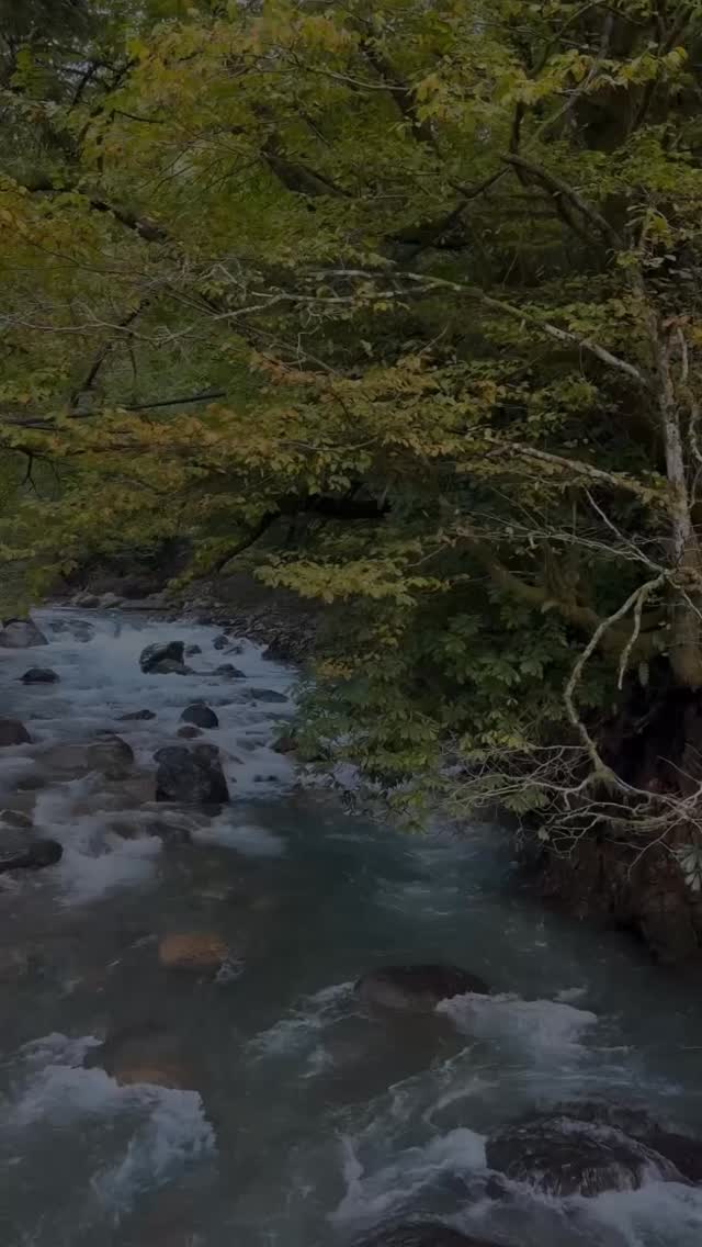 Sometimes what doesn’t happen is also protection.
Trust God’s plan.
#trust #faith #godsplan #divineprotection #peace #hope #perfecttiming #path #innerlight