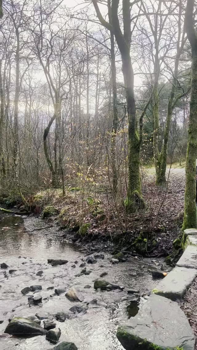 Vi gleder oss veldig til enda en konsert! Denne gangen får vi synge sammen med utrolige Evelina Gard 🎵🎶
Billetter finner du på checkin eller divisi.no 🫶