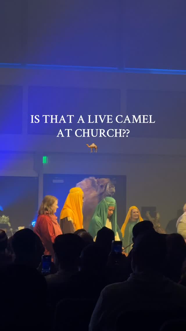 yk you have the best church when they bring a LIVE camel & animals to tell the story of the birth of Jesus
#christmas #jesuschrist #christian #fyp #church