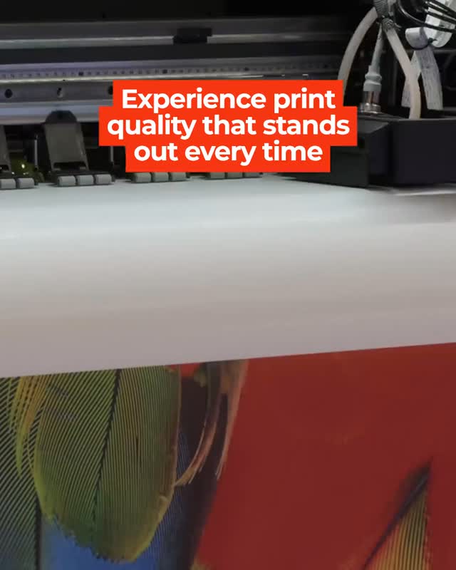 Transform your next event with custom printed materials that make a statement.
From bold banners and eye-catching signage to personalized invitations and unique giveaways, printed pieces bring your vision to life and captivate your audience.
Partner with Indexx — your local printing experts with over 400 awards, cutting-edge technology, and a full-service approach from design to delivery.
Ready to take your event to the next level? Let's create something unforgettable together.