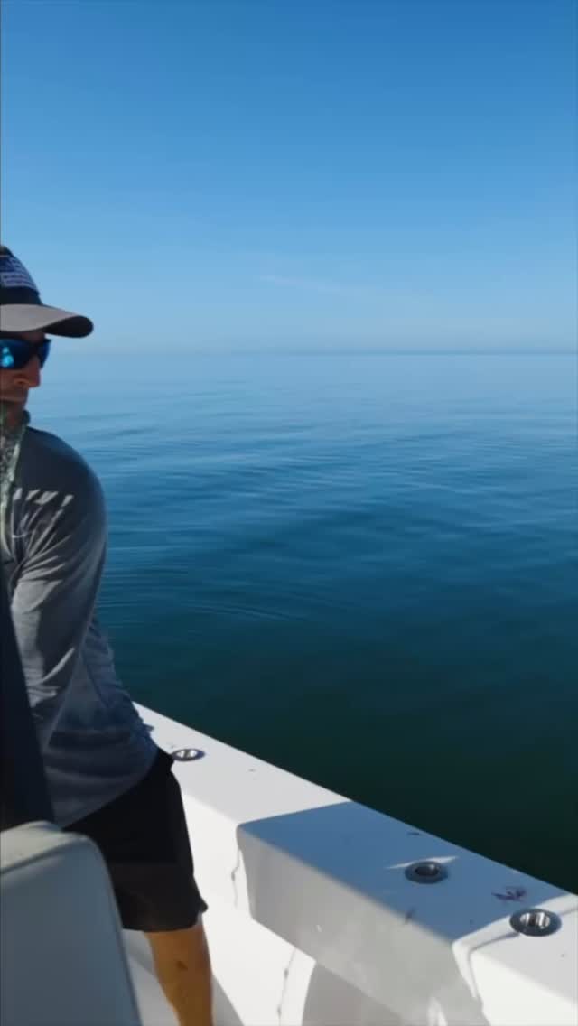 Live bait makes a huge difference when it comes to offshore fishing!
Before every trip we will do our best to load up with fresh bait!