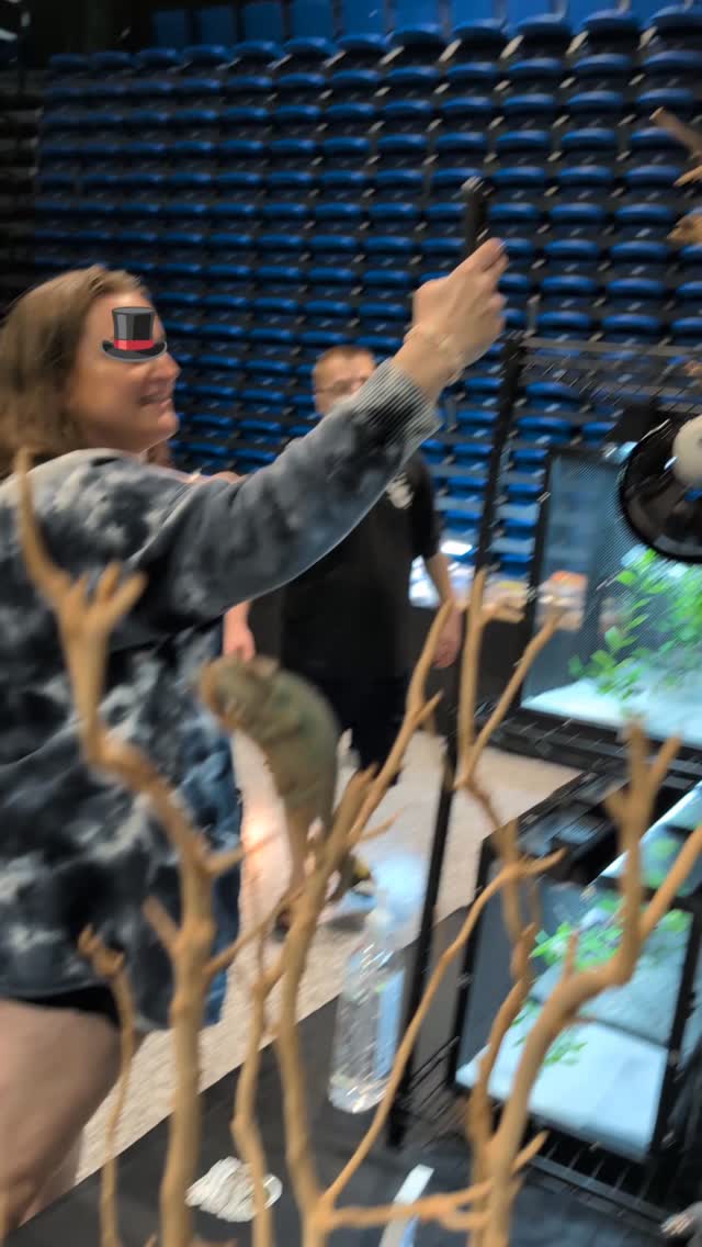 Klide reporting live from Repticon: blending in is optional, looking fabulous is mandatory.