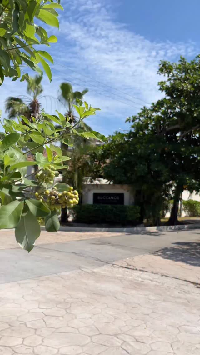 Welcome Home!
Buccancos is a truly beautiful and inspiring location, known for its raw coastal charm and relaxed atmosphere.
It’s home to Mikndrik’s studio, where creativity meets the natural beauty of the surroundings, golden light, ocean air, and a setting that feels both intimate and timeless.
#cozumelphotographer #mikndrikphotography #saltystudiocozumel #buccanos