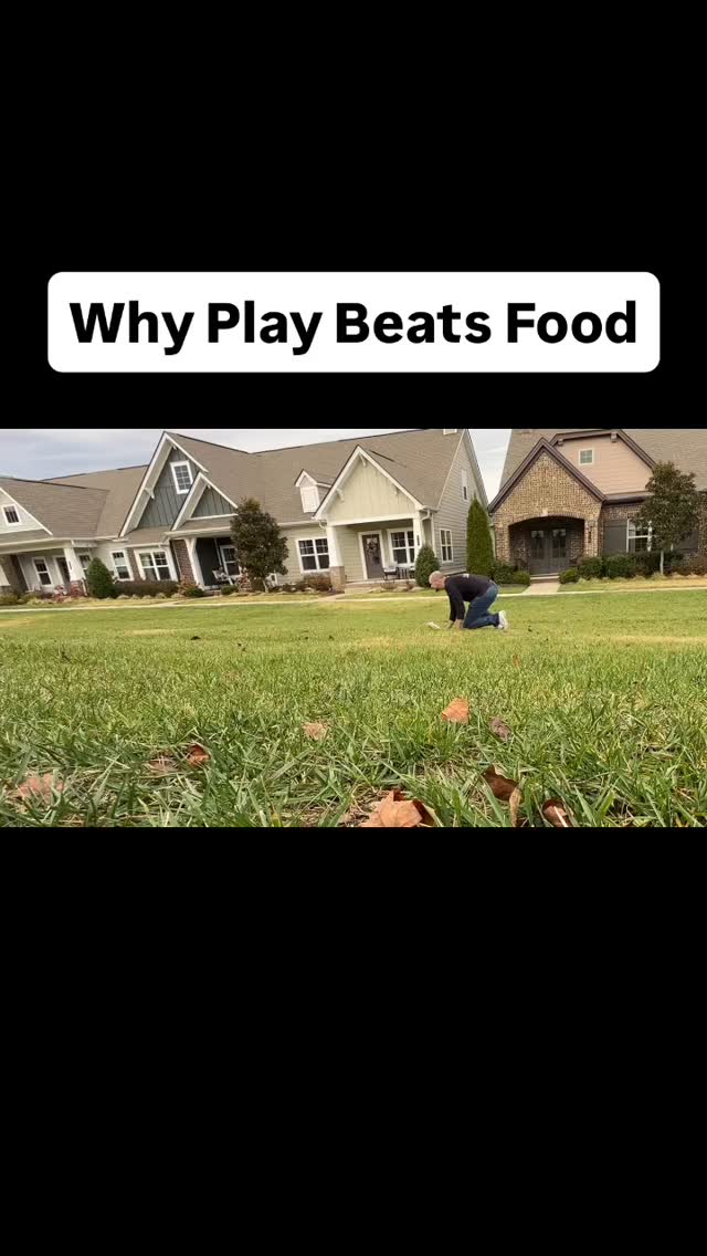 I’ve been going back thru my video that I recorded for clients to pick out some helpful clips for the everyday dog owner.
Lucy is a dog that’s needed that aggressive side validated and accepted. It is insanely easy to get a result with food. But I want a cooperation level that’s way higher than that.
Play is not something that has to be taught to the dog. It’s something that has to be learned by the human. Become a student of your dog, not a dictator.
Connection will get you much further than control and compliance.
Learning so much about play from these people. Please study them!
@larrykrohn @nextleveldogs @daytodaydogtraining @trainingwithoutconflict
#playwithdogs #caninebehavior #dogtraining