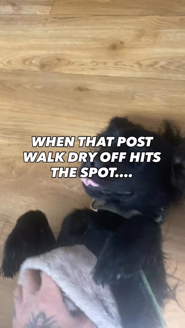 The pampering doesn’t stop when the walks over
#chalfontstpeter #chalfontstgiles #gerrardscross #dogwalking #dogwalker🚶🏻♂️🦮💨 #beaconsfield #dogtrainer #dogtraining