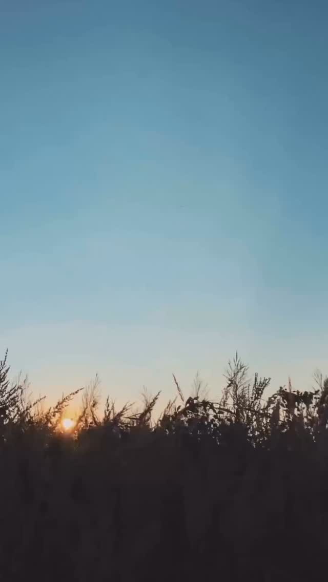 We thank You Father for Your goodness. 🙌🏻