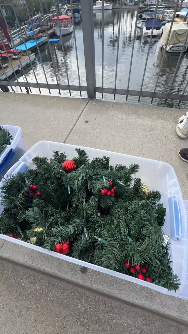 The Bellas were out this week beautifying with garland, lights, bows, & holiday spirit! ✨
This marks our 2nd year decorating all five Naples bridges & it’s officially a favorite member tradition.
Huge thank-you to co-chairs Catherine Steisel & Valerie Rich for leading the charge, to every lady who came out, & to the neighbors who let us plug in (no more solar battery-light heartbreak this year!).
Proudly organized & funded by the Naples Islands Garden Club, your local 501(c)(3). 🌿♥️