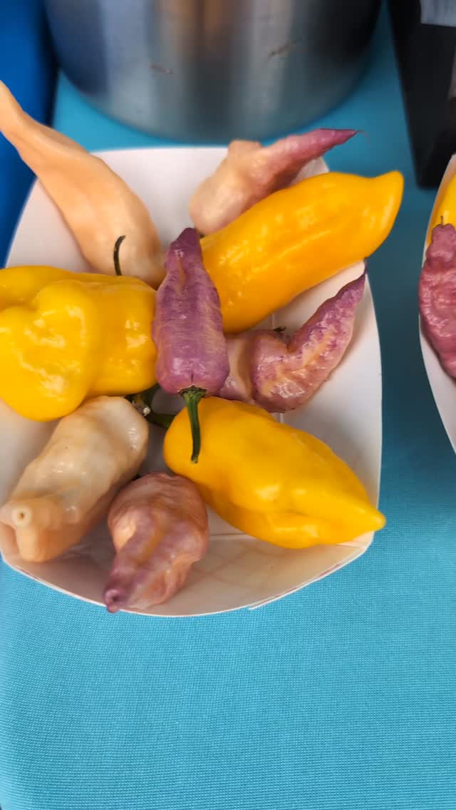 Score our biggest savings of the year on pepper seeds! Things are selling out quickly. Don't sleep on these!
•
•
•
#PepperBusiness #HotSauce #FermentedHotSauce #FreshPeppers #PortlandOregon #StJohnsFarmersMarket #PDXPeppers #ChiliPeppers #SpicySauce #ThePepperNursery #ArtisanHotSauce #FreshLocalPeppers #PortlandPeppers #PDXFoodies #PDXFarmersMarket #FarmToBottle #PepperFarm #FermentedPeppers #SpicyFoodLovers #PDXart #LocalHotSauce #PepperGrower #PortlandFarmersMarket #ChiliHeads #FarmersMarketFinds #PDXSpicy