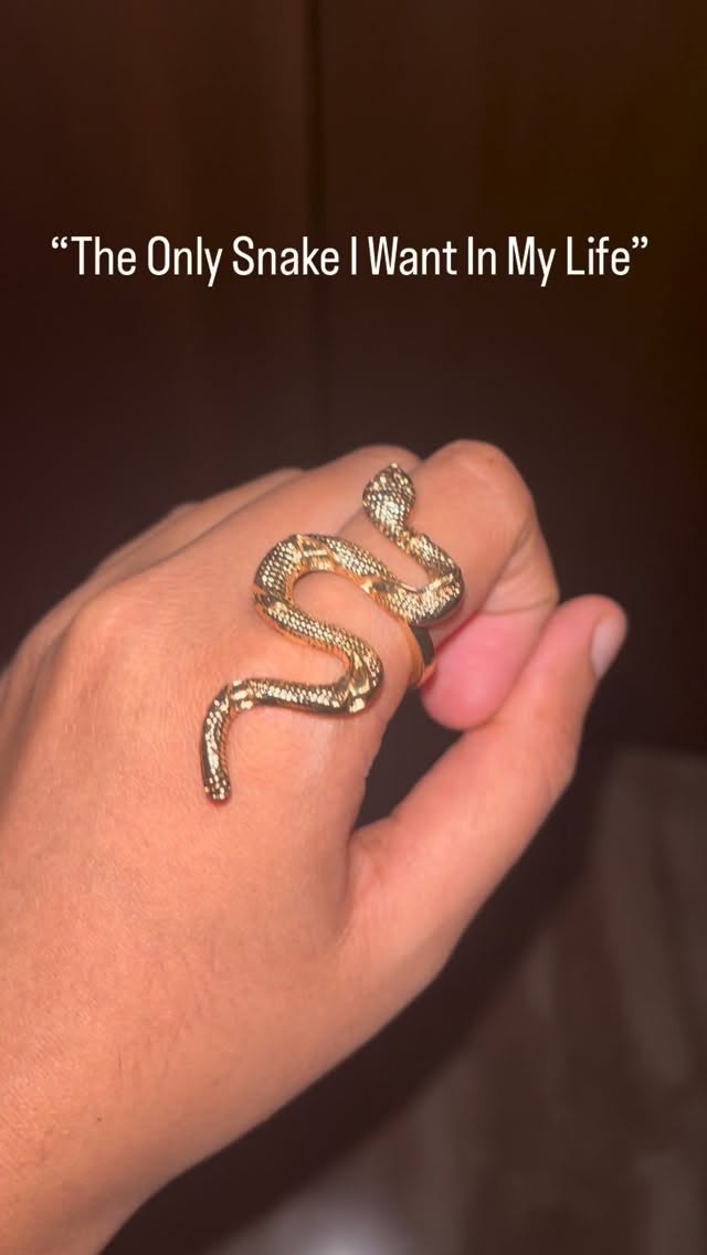 The only snake i deserve🐍✨.#snakejewelry #bling jewellery accessories