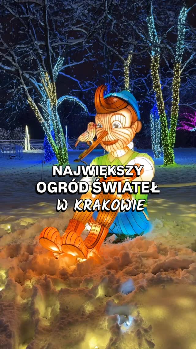 ✨ Ogród Świateł – Garden of Lights Kraków ✨
W tym roku motywem przewodnim jest historia Pinokia – drewnianego chłopca, który marzył, by stać się prawdziwym dzieckiem.
Przemierzając oświetlone alejki, zanurzamy się w baśniowy świat tej opowieści, a świetlne instalacje przedstawiają najważniejsze momenty z jego przygód. Dbałość o detale sprawia, że całość zachwyca zarówno najmłodszych, jak i dorosłych odwiedzających.
Czeka tu na Was ponad 200 świetlnych instalacji, labirynt, gra terenowa, interaktywne atrakcje, a nawet świecący plac zabaw. Miliony światełek, świetlne instalacje i zimowy klimat tworzą tu atmosferę jak z bajki❄️💫
To wystawa plenerowa, więc koniecznie ubierzcie się ciepło! ❄️ Przed wizytą zachęcamy, aby sprawdzić pogodę i ubrać się adekwatnie do niej. Na spokojny spacer warto zarezerwować sobie min. godzinę.
A jeśli Wasze dzieci nie znają jeszcze historii Pinokia, warto je wcześniej w nią wprowadzić. My obejrzałyśmy bajkę przed wizytą i Lea świetnie rozpoznawała później poszczególne sceny.
📍 Ogród Świateł @gardenoflights.polska
Na terenie @ogroddoswiadczen, Aleja Pokoju 68
📅 Wystawa czynne od 24.10.2025 r. do 1.03.2026 r.
🎟️ Bilety:
– 37 zł normalny, 34 zł ulgowy (weekendy drożej)
– dzieci do 100 cm: 1 zł
– dostępne bilety sezonowe
♿ Wystawa jest dostępna dla osób z niepełnosprawnościami.
🐾 Wstęp bez zwierząt (poza psami asystującymi)
Dajcie znać, czy byliście w Ogrodzie Świateł w poprzednich latach i czy wybieracie się również w tym roku! 🤗✨
#ogródświateł #gardenoflights #pinokio #kraków #magicznemiejsce #świątecznyklimat #rodzinneatrakcje #zimowewieczory #ciekawemiejscawpolsce #atrakcjedladzieci #malopolska #krakow