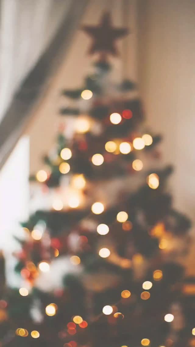 We don’t just teach dogs to ‘down stay.’ We teach them to settle...anywhere. Tethering builds the dog everyone wishes they had.
Down stay ≠ a calm mindset.
#calmk9 #neutralitytraining #tethertraining #dogneutrality #calmk9s #dogbehavior #balanceddogtraining #structuredtraining #calmdogsclick #dogtrainerlife #dogtraining101 #dogobedience #dogsofinstagram #tnDogTraining #middletndogs #workingdoglife #reactivedogtraining #overarousal #dogsettlework #calmdogskills #placecommand #canineeducation #trainyourdog #doglifestyle #dogtrainingreels #everydaytraining #dogownersupport #calmk9method #teachthecalm