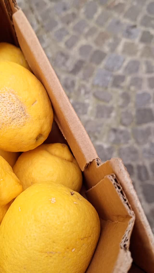 Pas de pause pour l'atelier-boutique.
.
.
.
.
#benedettoconfituresatypiques #Benedetto #confituresatypiques #confitureartisanale #ornellavanoni #lappuntamento #jam #jamlife #jamlove #jamstore #atelier #marmellate #foudecuisine #foudepatisserie #instafoodie #fooding #foodblogger #recette #pastry