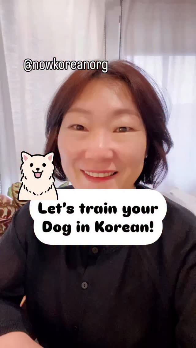 Beginner Korean classes.
More info - tap the link in bio
#learnkorean #koreanlesson #koreanteacher
#studywithme #koreanphrase
#hangulstudy #koreanclass #kpop #kdrama#koreangrammar
#onlinekoreanclass
#beginnerkorean
#한국어공부 #한국어 #한국어선생님