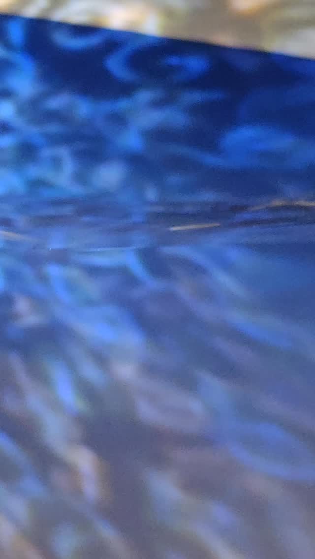 Photographer :@prisographs
MUA : @janec.makeup
#londonphotographer #portraitphotography #人像拍攝 #水下摄影 #香港攝影師