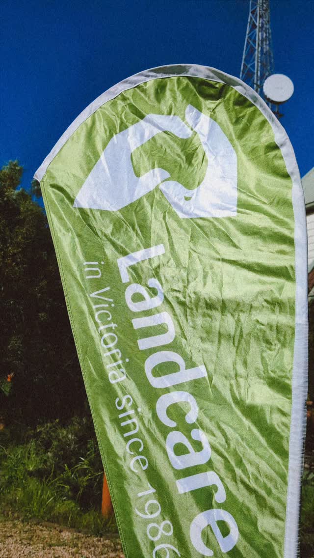 Last week's native bee information session was a delightful introduction to the world of bees. Keep an eye out for these little legends in your gardens over the summer.
Stay up to date with our social post as we will be meeting again in 2026 to talk more about our local bees, biodiversity in home gardens and the hot topic that is varroa mite.
A massive thank you to Mitch and Cath from Woolenook Native Plant Nursery for hosting the group and delivering insightful and historical knowledge of Bees. 🐝🌿