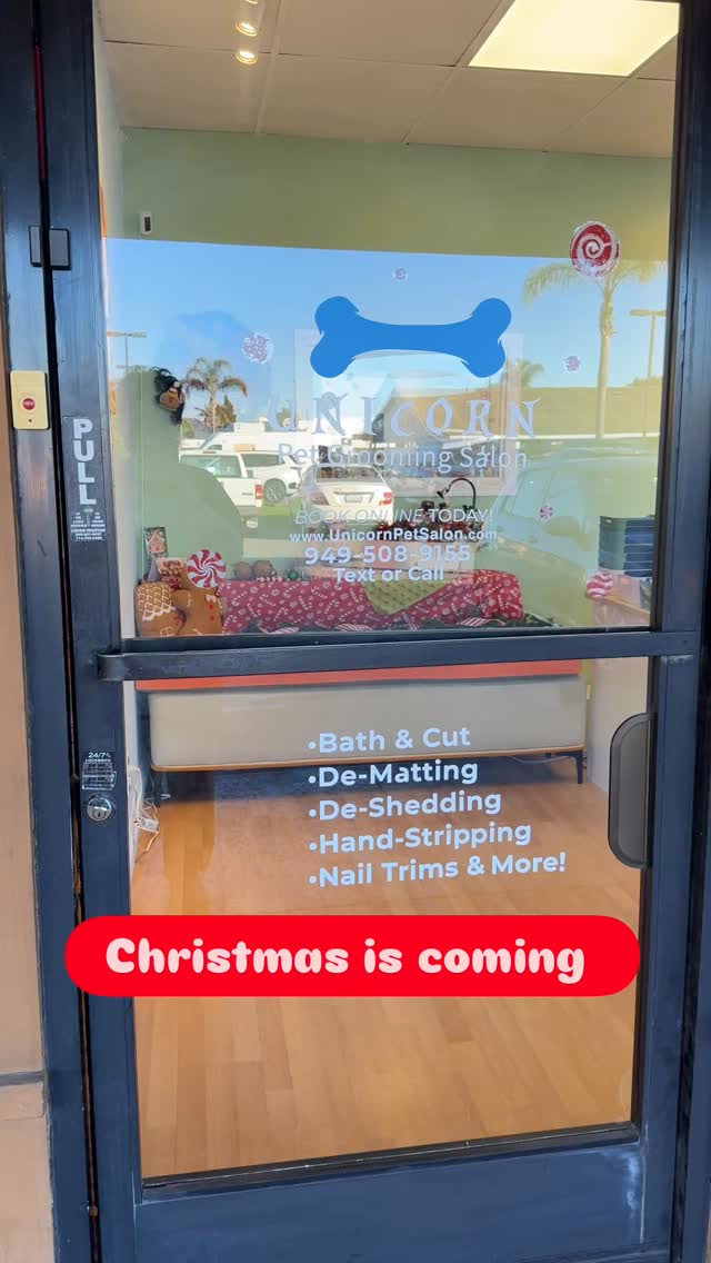 ✨ Christmas is almost here! ✨
Our salon is all dressed up with new holiday decorations, and it feels so cozy and festive inside. 🎄❤️
Appointments are filling up fast, so make sure to book your spot soon. We can’t wait to see you and your pups! 🐶💕
#christmas #poodle #gifts #doglovers #dogoftheday #haircut