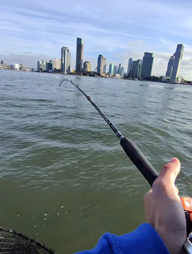 No quit in this season! What I thought would be my last trip turned into another banger, and somehow we added extra innings. The weekend looks phenomenal, and I’ve got Saturday and Sunday open. If you want to get out and crush some striped bass, hit me up! This weekend will be definitely the end of the season 😀 #bluefinsoundcharters #newrochelleny #bass #fishing #fyp